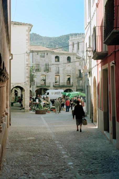 Apartamentos Saltarel-Lo Besalú Buitenkant foto
