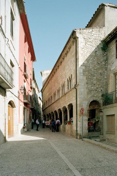 Apartamentos Saltarel-Lo Besalú Buitenkant foto