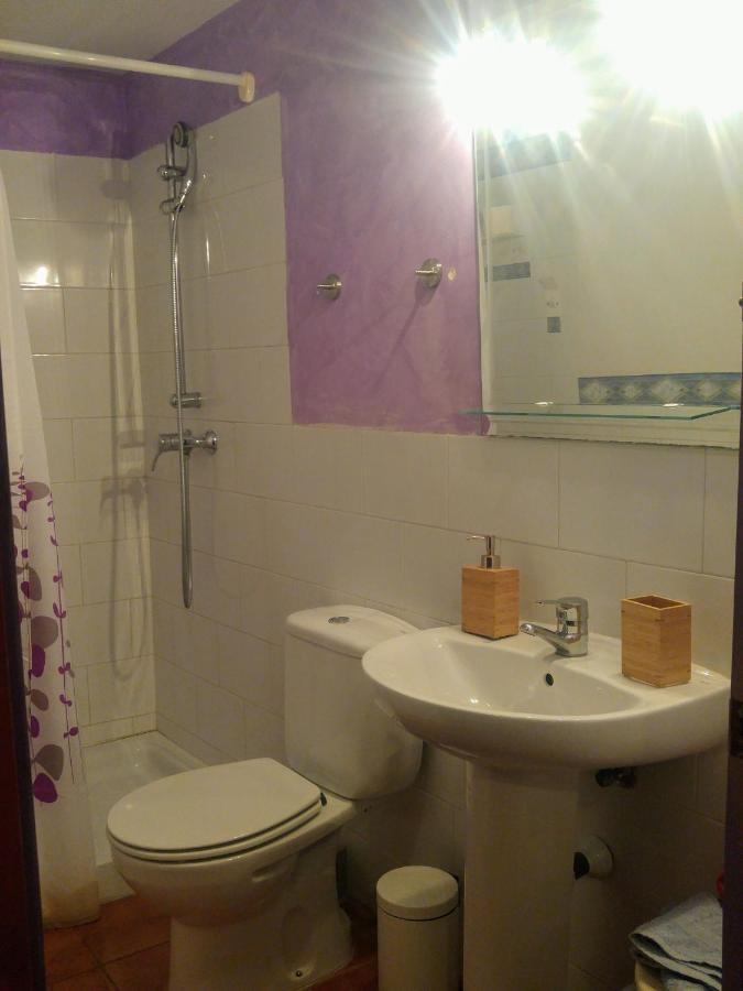 Apartamentos Saltarel-Lo Besalú Buitenkant foto