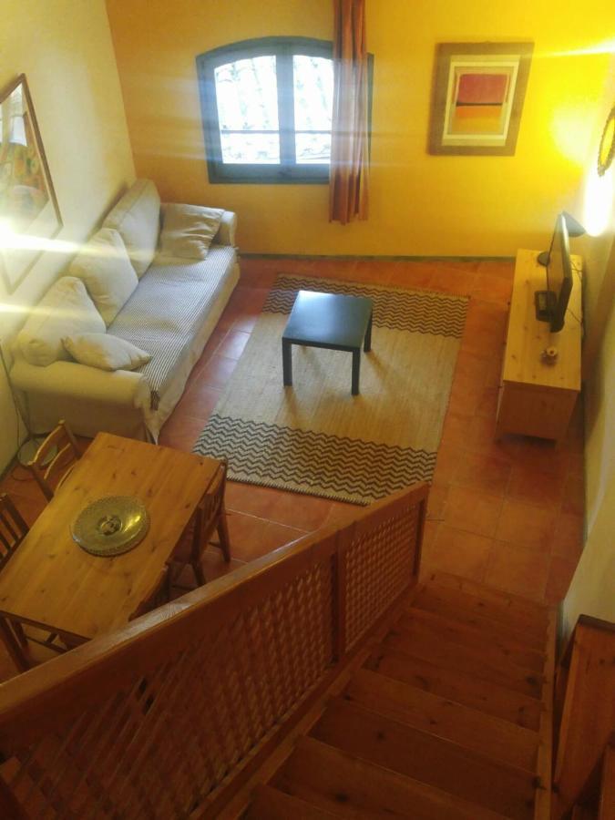 Apartamentos Saltarel-Lo Besalú Buitenkant foto
